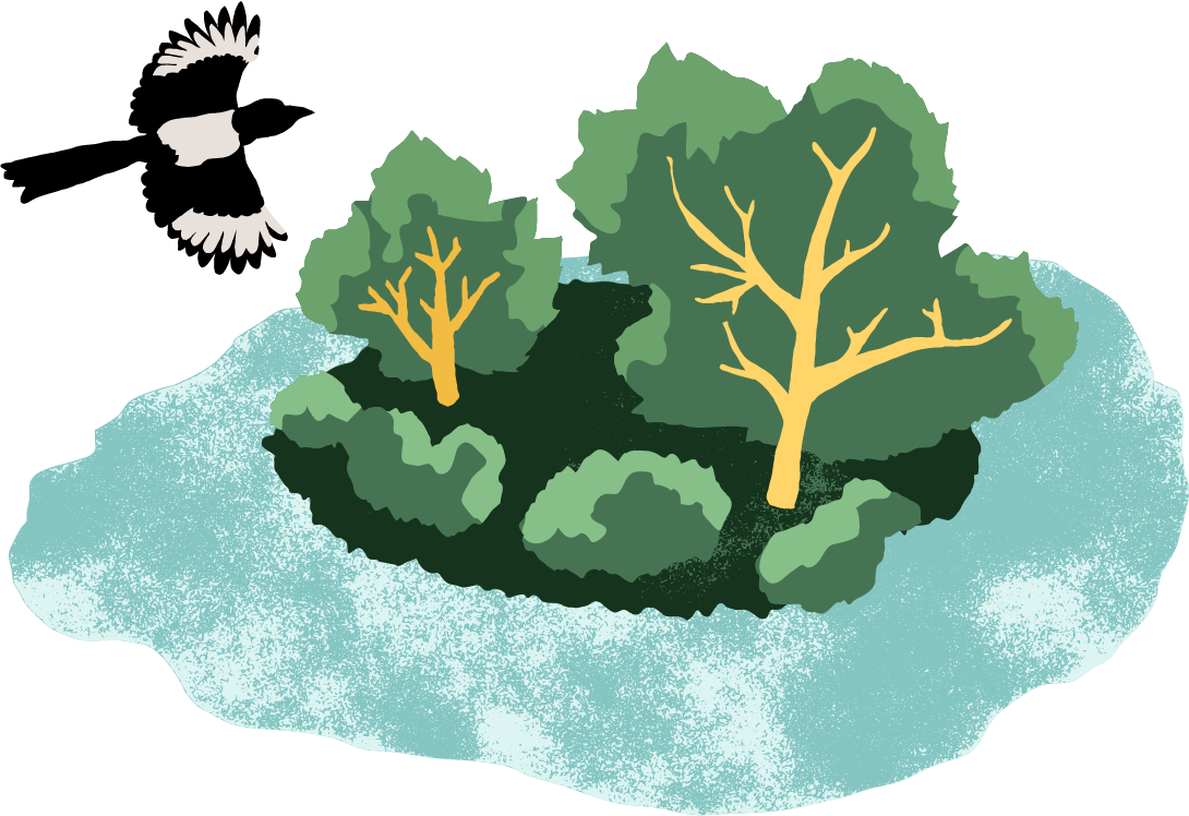 Illustration
